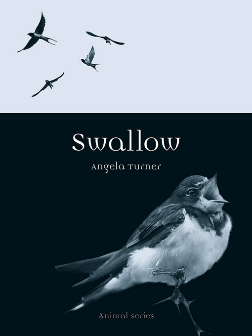 Title details for Swallow by Angela Turner - Available